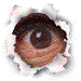 qu� ves???